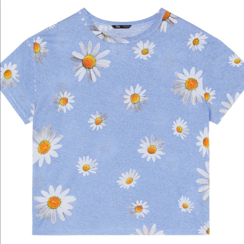 Zara daisy top